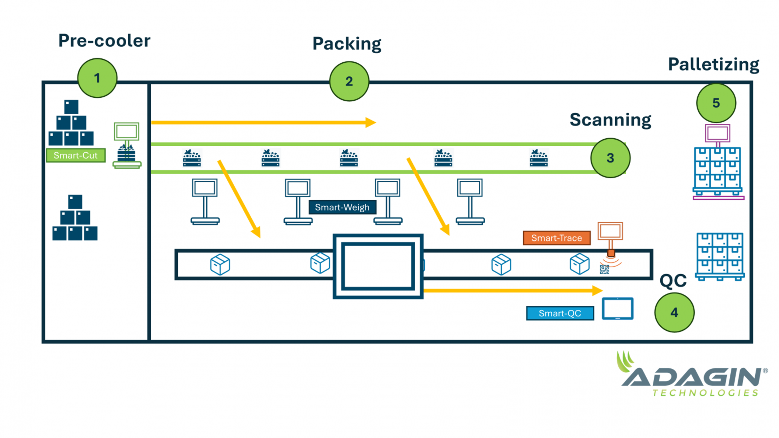 Table Grapes Precision Packing Diagram