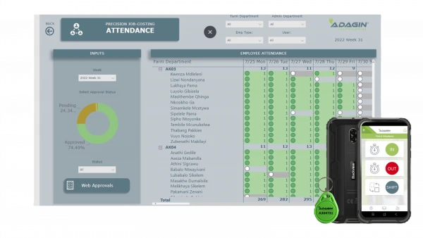 Time And Attendance Dashboard 2