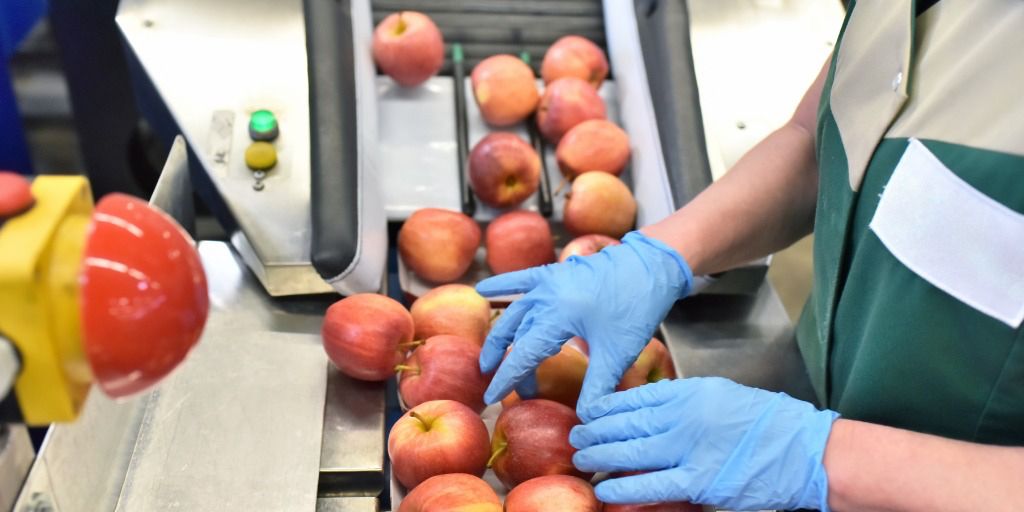 Fruit Count